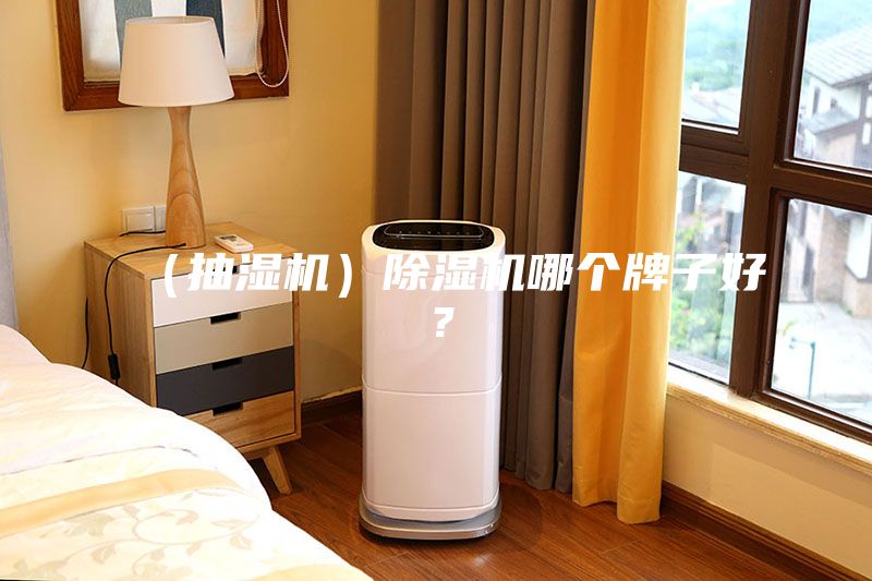 （抽濕機(jī)）除濕機(jī)哪個(gè)牌子好？