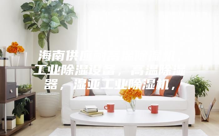 海南供應耐高溫除濕機,工業除濕設備,高溫除濕器,濕亞工業除濕機,