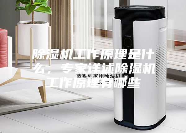 除濕機工作原理是什么，專家詳述除濕機工作原理有哪些