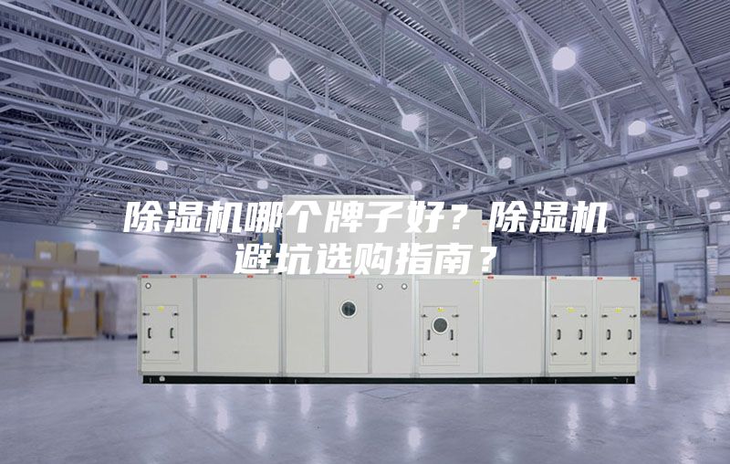 除濕機(jī)哪個(gè)牌子好？除濕機(jī)避坑選購(gòu)指南？
