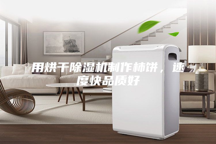 用烘干除濕機制作柿餅,速度快品質好