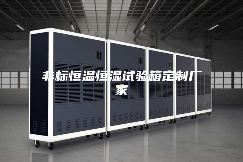 非標(biāo)恒溫恒濕試驗箱定制廠家