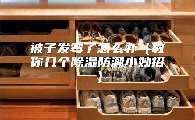 被子發(fā)霉了怎么辦(教你幾個(gè)除濕防潮小妙招)