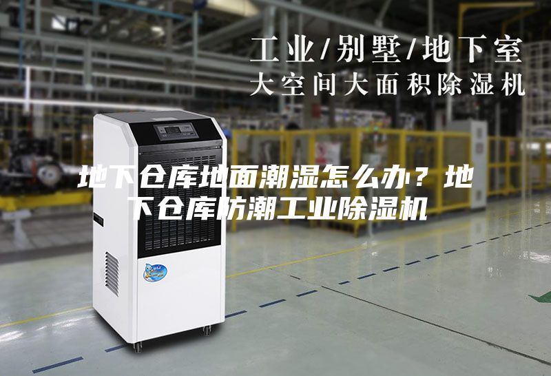 地下倉庫地面潮濕怎么辦？地下倉庫防潮工業除濕機