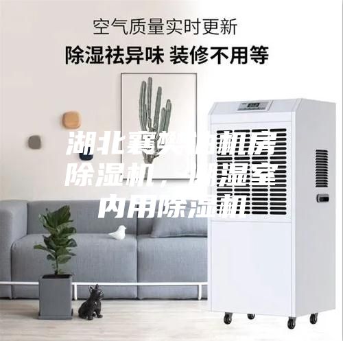 湖北襄樊油機房除濕機，潮濕室內用除濕機