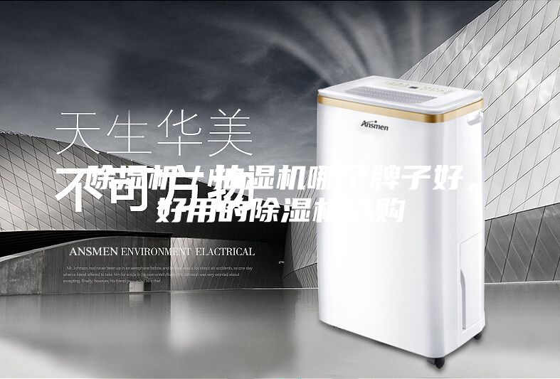 除濕機(jī)／抽濕機(jī)哪個(gè)牌子好，好用的除濕機(jī)選購(gòu)