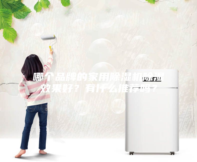 哪個品牌的家用除濕機(jī)除濕效果好？有什么推薦嗎？