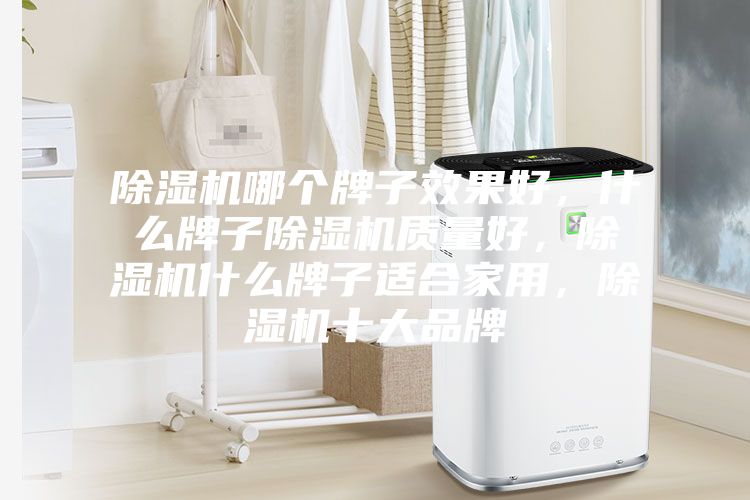除濕機(jī)哪個(gè)牌子效果好，什么牌子除濕機(jī)質(zhì)量好，除濕機(jī)什么牌子適合家用，除濕機(jī)十大品牌