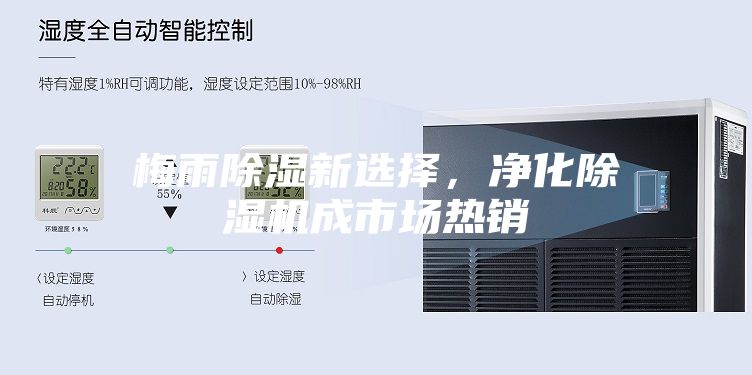 梅雨除濕新選擇，凈化除濕機成市場熱銷