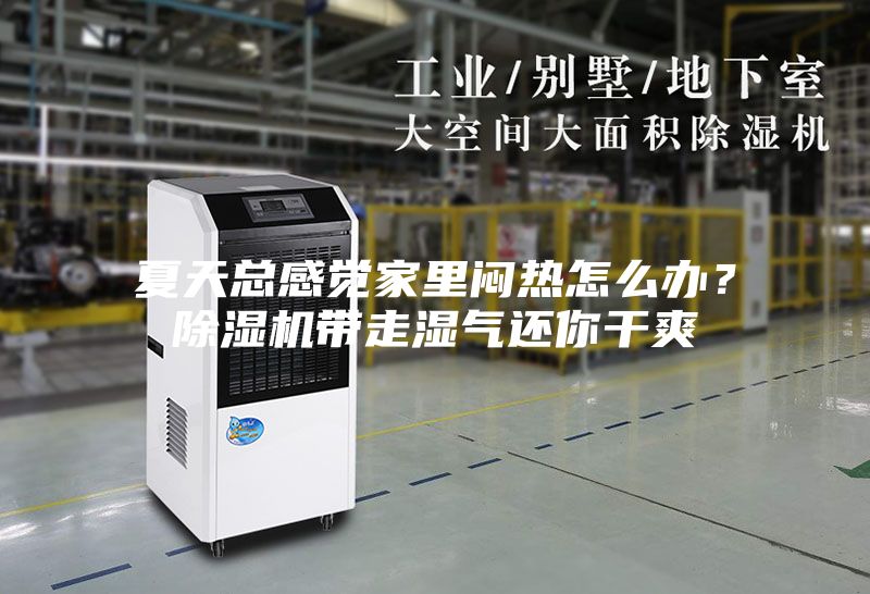 夏天總感覺家里悶熱怎么辦？除濕機帶走濕氣還你干爽