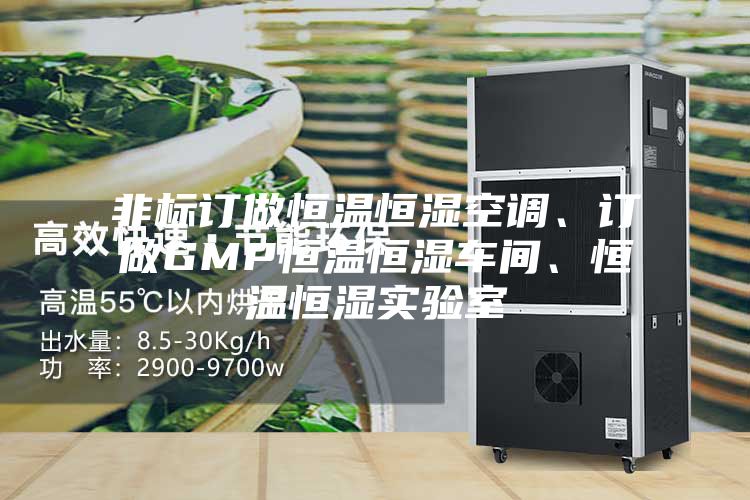 非標(biāo)訂做恒溫恒濕空調(diào)、訂做GMP恒溫恒濕車間、恒溫恒濕實(shí)驗(yàn)室