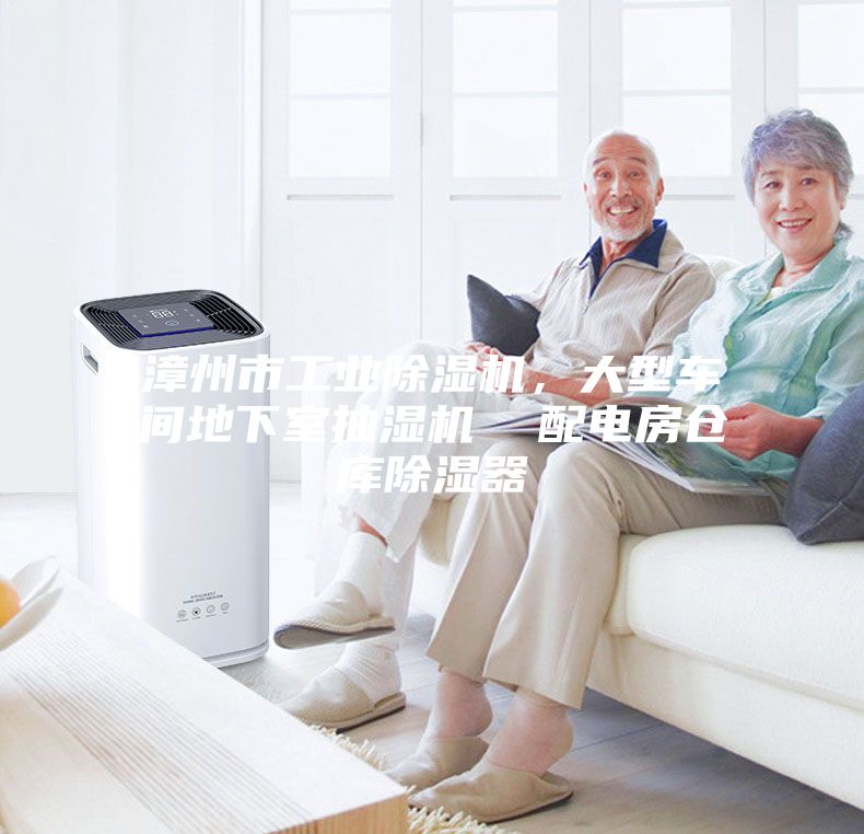 漳州市工業(yè)除濕機(jī)，大型車間地下室抽濕機(jī)  配電房倉庫除濕器