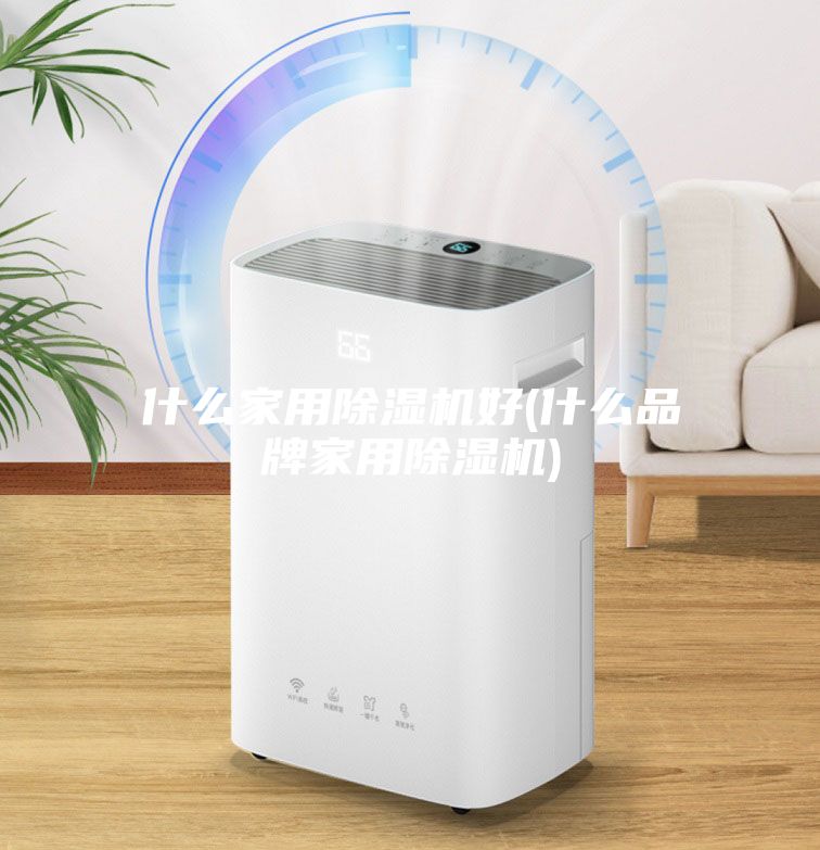 什么家用除濕機好(什么品牌家用除濕機)