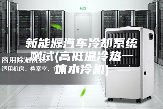 新能源汽車冷卻系統(tǒng)測試(高低溫冷熱一體水冷機)