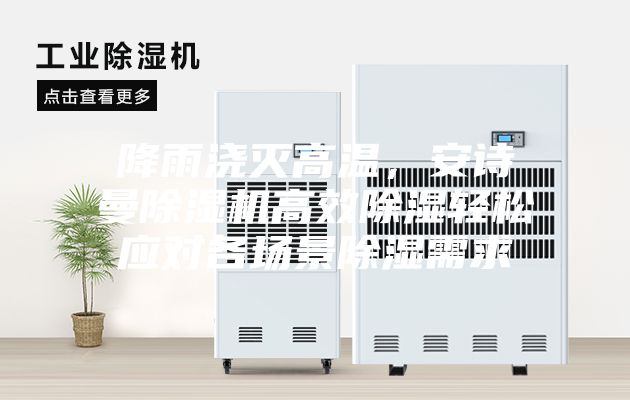 降雨澆滅高溫，安詩曼除濕機高效除濕輕松應對各場景除濕需求