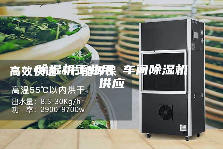 除濕機工業(yè)用 車間除濕機供應