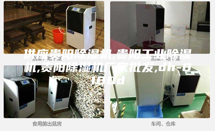 供應(yīng)貴陽(yáng)除濕機(jī),貴陽(yáng)工業(yè)除濕機(jī),貴陽(yáng)除濕機(jī)廠家批發(fā),dh-8180d