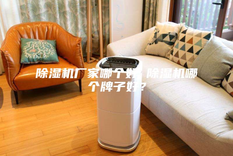 除濕機廠家哪個好 除濕機哪個牌子好？
