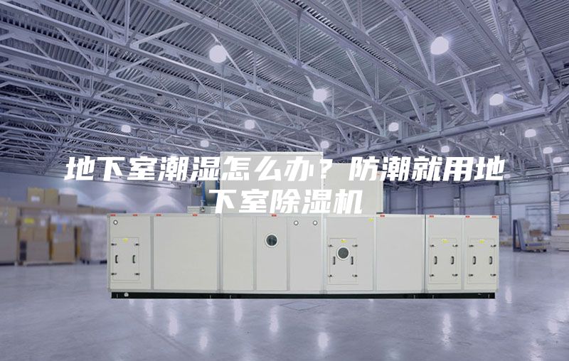 地下室潮濕怎么辦?防潮就用地下室除濕機(jī)