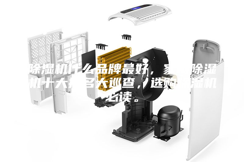 除濕機(jī)什么品牌最好,家用除濕機(jī)十大排名大巡查,選購(gòu)除濕機(jī)必讀。