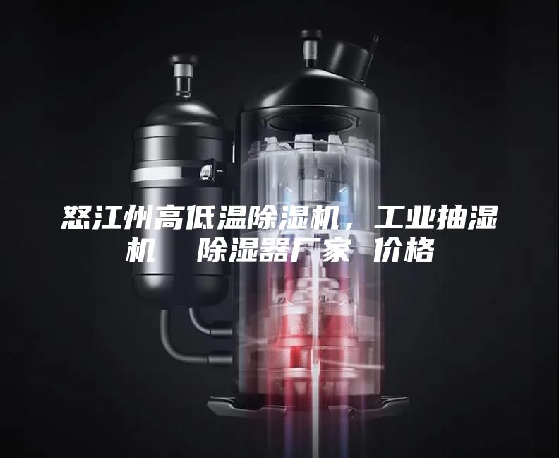怒江州高低溫除濕機,工業抽濕機 除濕器廠家 價格