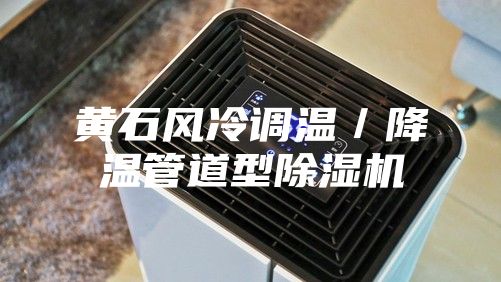 黃石風冷調溫/降溫管道型除濕機
