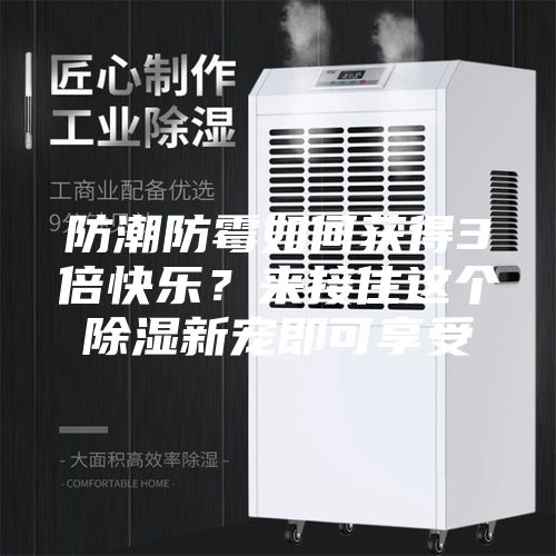 防潮防霉如何獲得3倍快樂?來接住這個除濕新寵即可享受