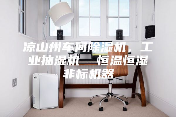 涼山州車間除濕機，工業(yè)抽濕機  恒溫恒濕非標機器