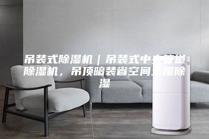 吊裝式除濕機｜吊裝式中央管道除濕機，吊頂暗裝省空間全屋除濕