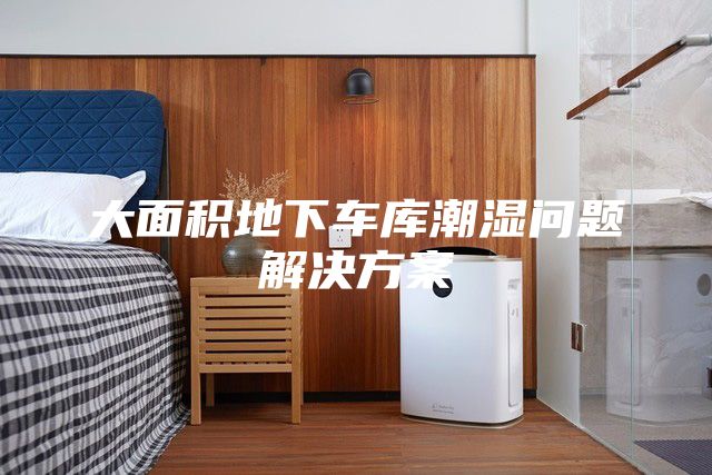 大面積地下車庫(kù)潮濕問題解決方案