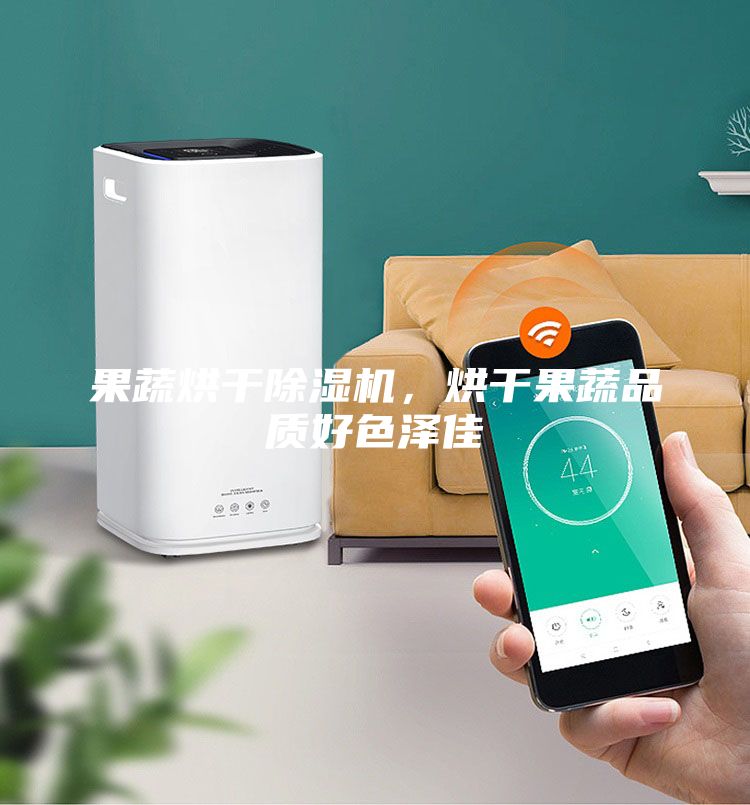 果蔬烘干除濕機，烘干果蔬品質好色澤佳