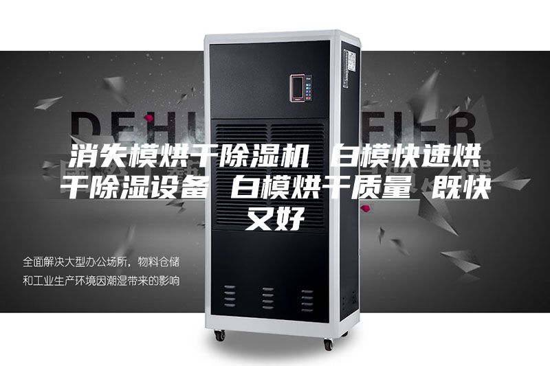消失模烘干除濕機(jī) 白模快速烘干除濕設(shè)備 白模烘干質(zhì)量 既快又好