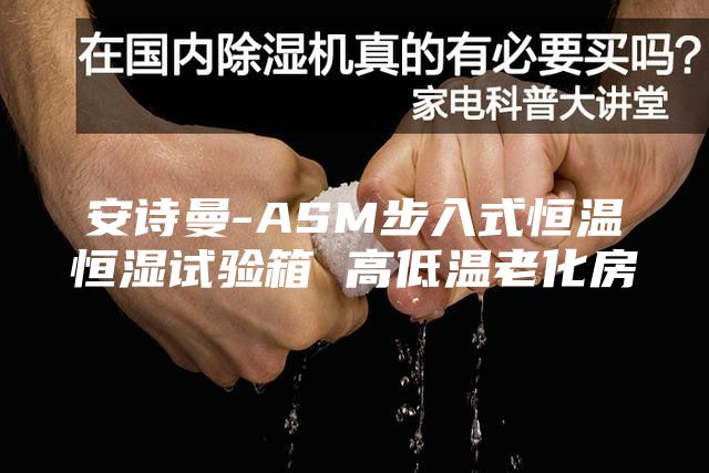 安詩(shī)曼-ASM步入式恒溫恒濕試驗(yàn)箱 高低溫老化房