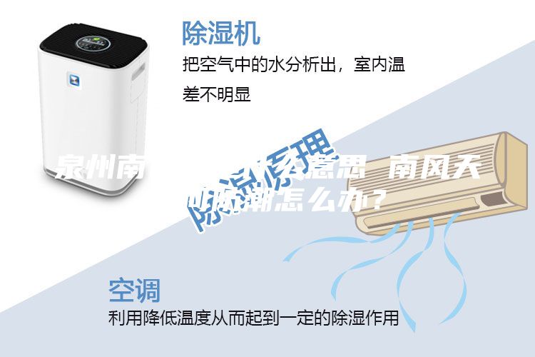 泉州南風(fēng)天是什么意思 南風(fēng)天如何防潮怎么辦？