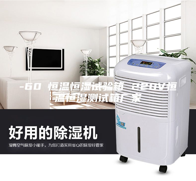 -60℃恒溫恒濕試驗(yàn)箱 220V恒溫恒濕測(cè)試箱廠家