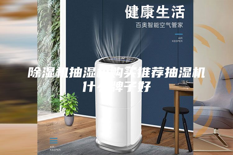 除濕機(jī)抽濕機(jī)購買推薦抽濕機(jī)什么牌子好