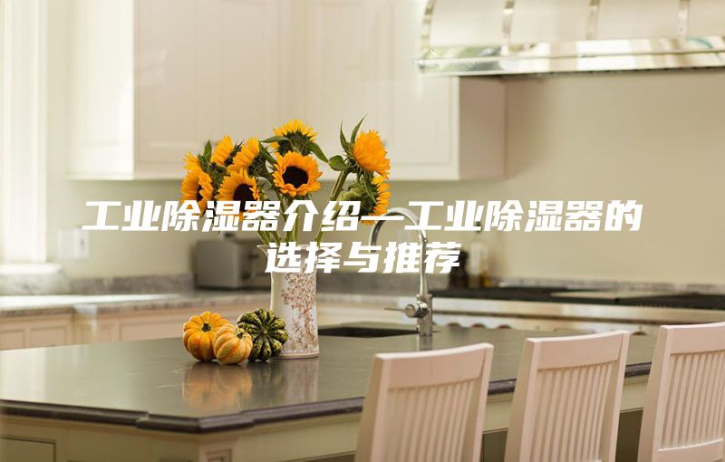 工業(yè)除濕器介紹—工業(yè)除濕器的選擇與推薦