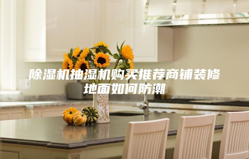 除濕機(jī)抽濕機(jī)購(gòu)買推薦商鋪裝修地面如何防潮