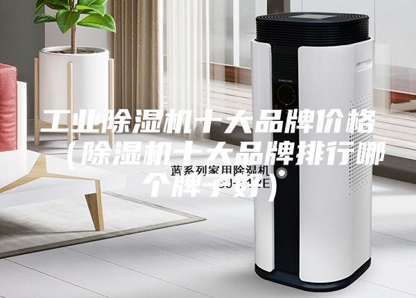 工業(yè)除濕機(jī)十大品牌價格（除濕機(jī)十大品牌排行哪個牌子好）