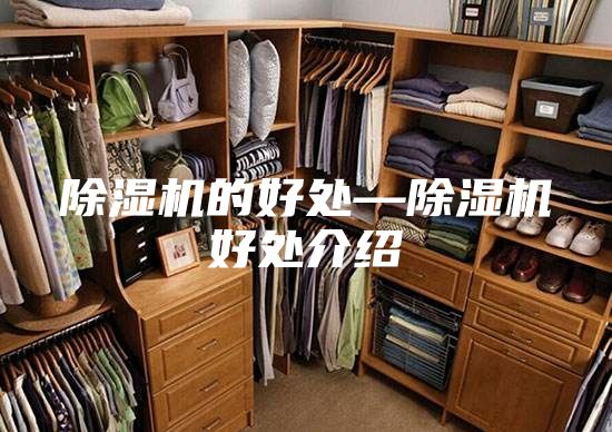 除濕機的好處—除濕機好處介紹