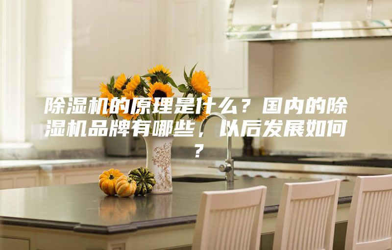 除濕機(jī)的原理是什么？國(guó)內(nèi)的除濕機(jī)品牌有哪些，以后發(fā)展如何？