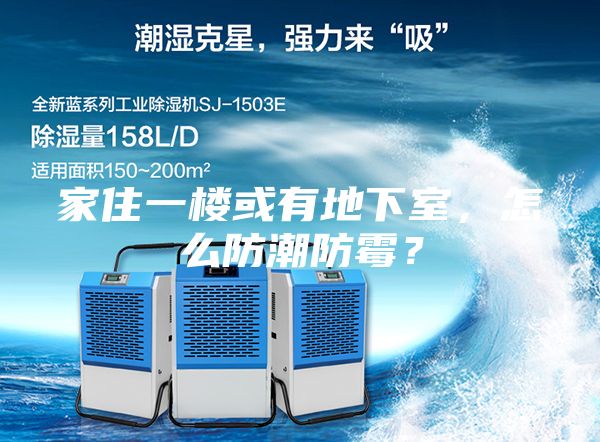 家住一樓或有地下室，怎么防潮防霉？