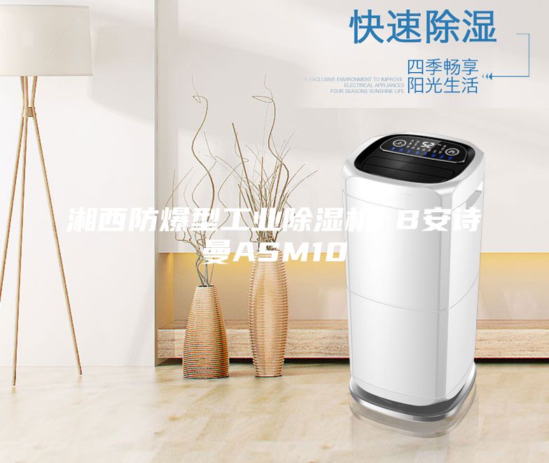 湘西防爆型工業除濕機 B安詩曼ASM10