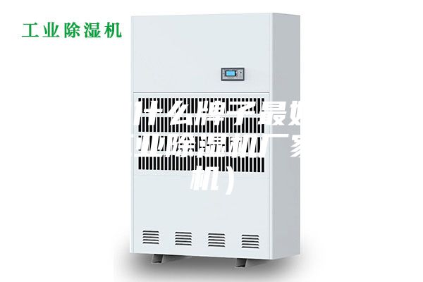 除濕機什么牌子最好（安詩曼工業除濕機廠家除濕機）