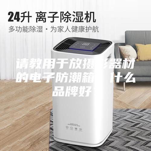 請教用于放攝影器材的電子防潮箱，什么品牌好？