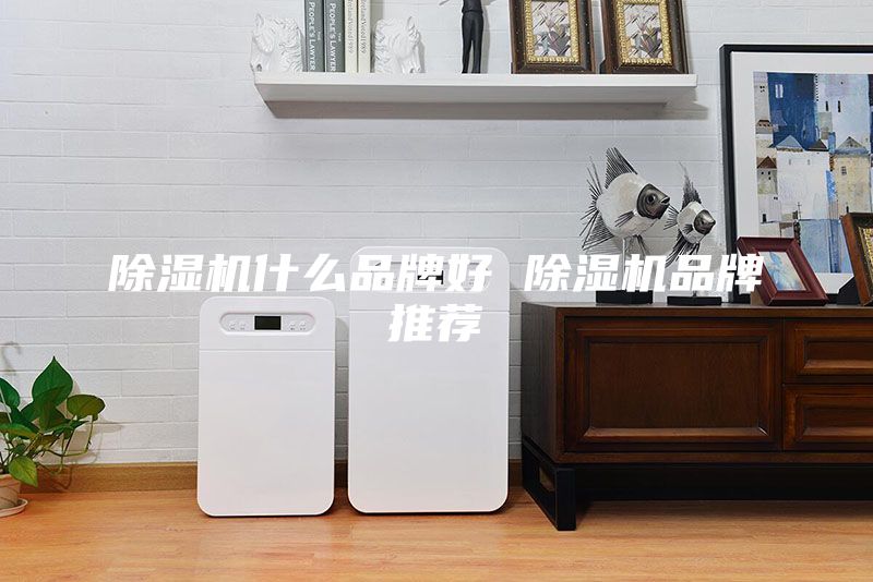 除濕機什么品牌好 除濕機品牌推薦