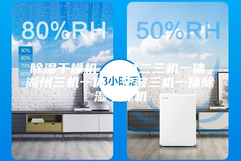 除濕干燥機(jī),一對(duì)二三機(jī)一體,湖州三機(jī)一體,寧波三機(jī)一體除濕干燥機(jī)