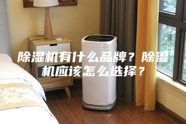 除濕機(jī)有什么品牌?除濕機(jī)應(yīng)該怎么選擇?