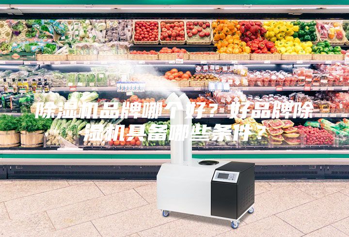 除濕機(jī)品牌哪個(gè)好?好品牌除濕機(jī)具備哪些條件?