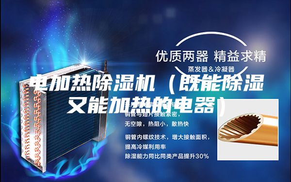 電加熱除濕機（既能除濕又能加熱的電器）